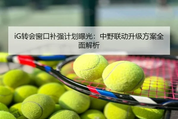 iG转会窗口补强计划曝光：中野联动升级方案全面解析